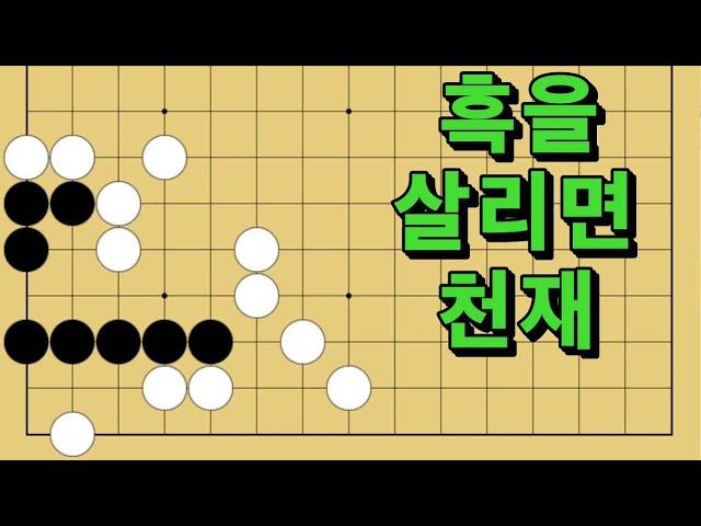 바둑 묘수 사활 - 처절한 응징을 가하는 묘수가 있습니다. 흑을 살려보세요.