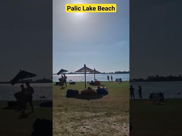 Palic Lake Beach 4K #travel #serbia