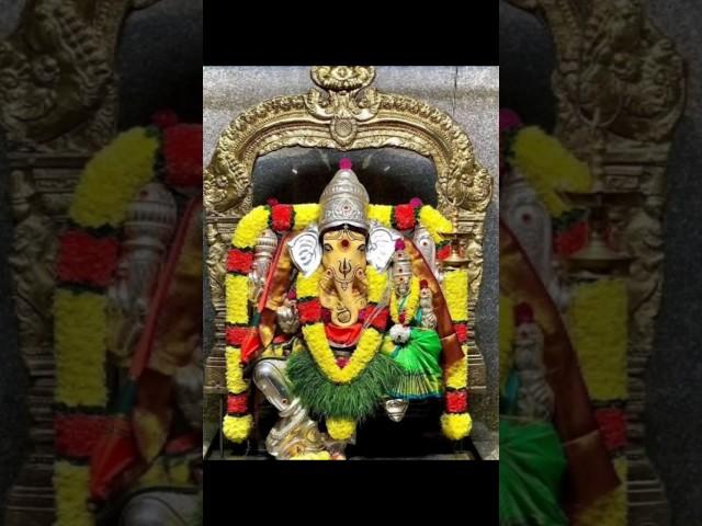 Happy Ugadi  | Telugu Festival | @suryadipin851_Official #ugadi #festival #short #reels