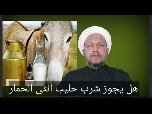 هل يجوز شرب حليب أنثى الحمار لغرض العلاج ⁉️