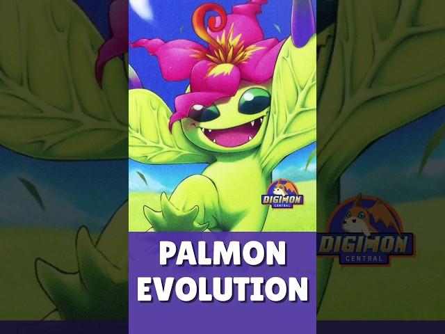 Palmon Evolution Line #Shorts