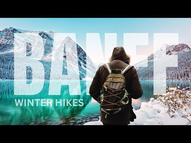 BEST Winter Hikes in Banff | Easy and Fun | Top 4