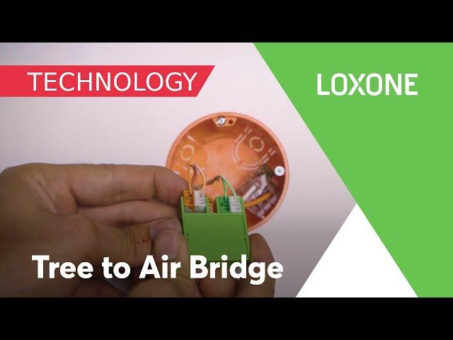 Tree to Air Bridge