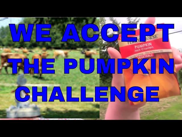 whistle thicket pumpkin challenge accepted