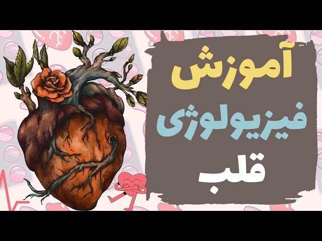 آموزش فیزیولوژی قلب️ | براساس فیزیولوژی گایتون