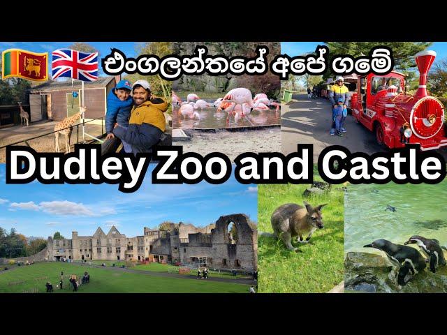 Dudley Zoo and Castle | Review & Full Tour | UK Sinhala Vlog | Life In UK | Lankans In UK