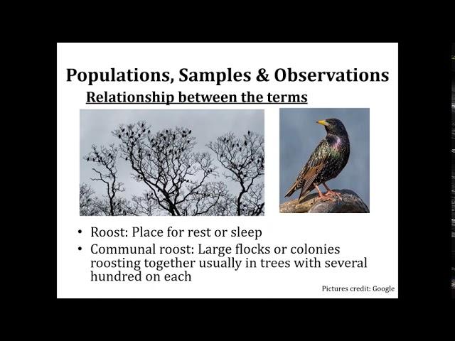 Measurement and Sampling Concepts