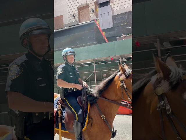 Animals Riding Horses In NYC