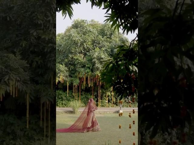 A Forest Wedding at Aahana