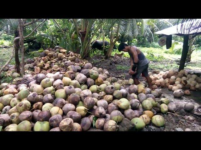 Sa wala pa gi bagyu ni Odette |  Papskang