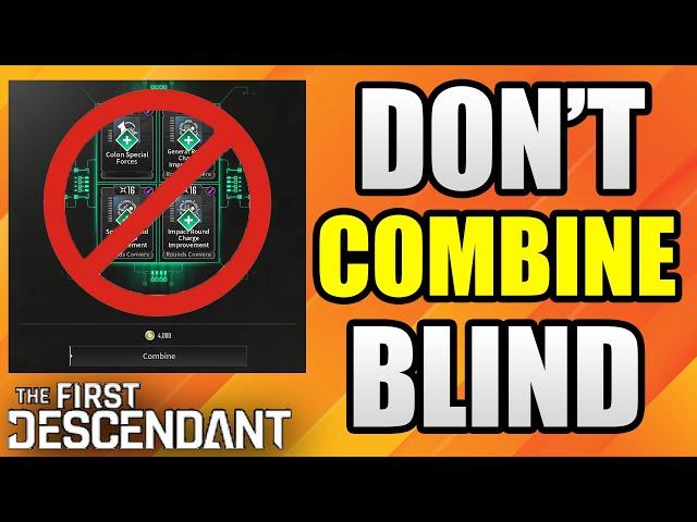 Watch This BEFORE You Combine Mods in The First Descendant!