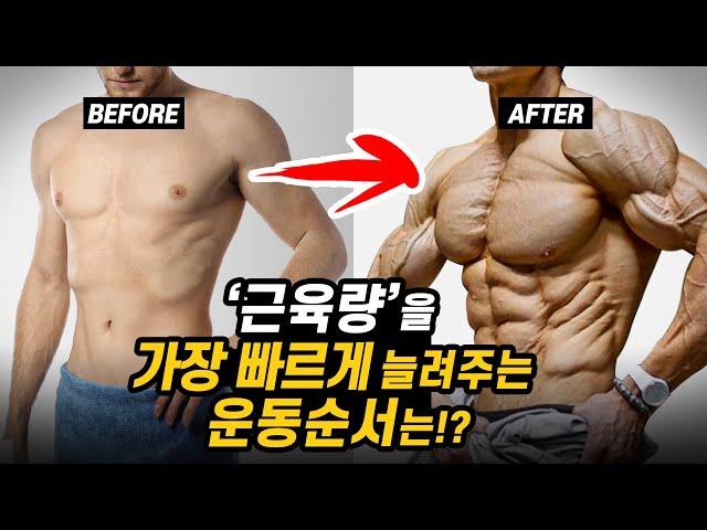 일반인의 '근육량'을 가장 빠르게 늘려주는 '운동순서'는?