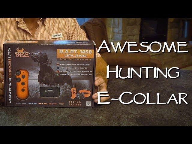 DT Systems RAPT 1450 Unboxing and Review - Upland Bird Dog Training