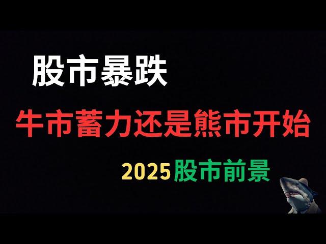 美股 暴跌 科技股领跌背后 牛市蓄力充电 是中段还是终点 特斯拉财报拉开帷幕 预示新起点 还是昙花一现 2025股市前景预测