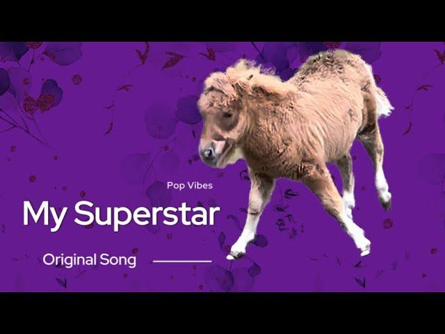 Tune! Adorable Shetland Foal is Superstar! ️