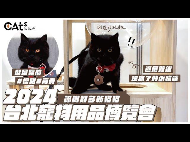 2024台北寵物用品博覽會/認識好多新貓貓/玩到瘋掉的林熊熊