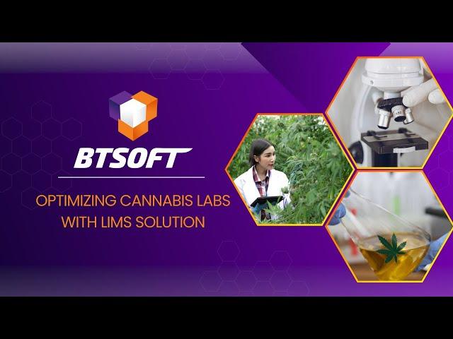 Optimize Lab Efficiency with BTSOFT’s Cannabis LIMS