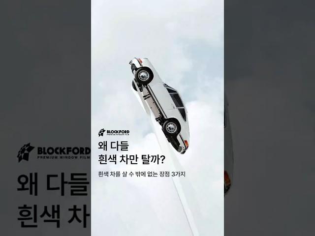왜 다들 흰색차만 탈까?｜흰색 자동차 색상 장점
