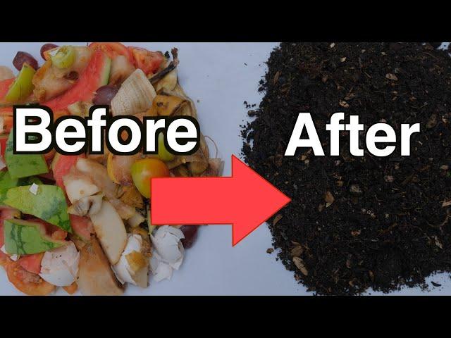 Fast Compost From Kitchen Scraps Directly in the Garden