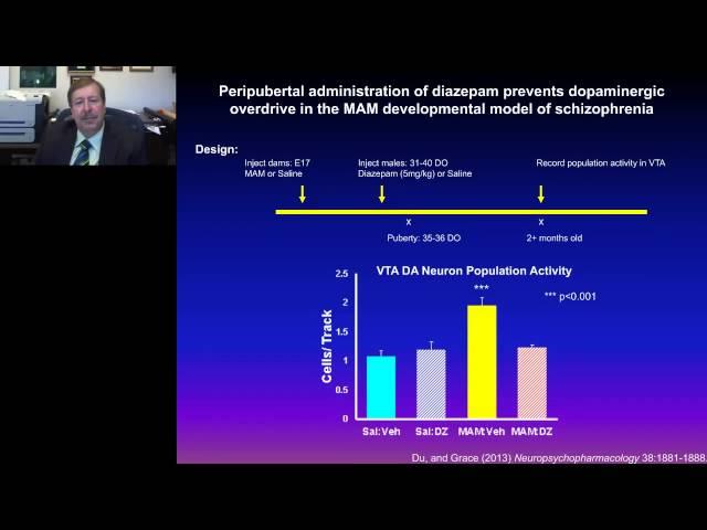 Anthony Grace - Keynote - Dopamine system dysregulation in the pathophysiology of schizophrenia and