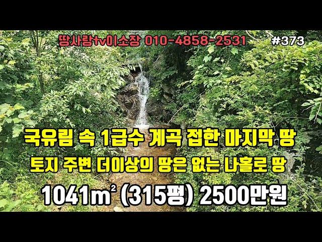 (373번)울진 국유림 속 1급수 계곡 접한 마지막 토지 청정 골짜기