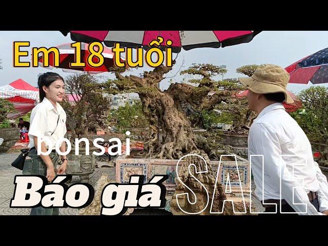 Tham quan, Tham khảo giá cây bonsai tại festival Thủ Đô 2024