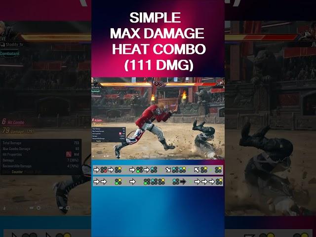 Steve Fox - High Damage Combo with Heat - TEKKEN 8