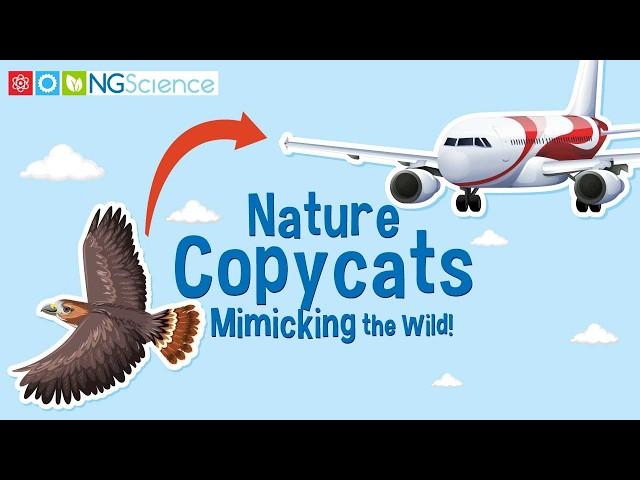 Nature Copycats – Mimicking the Wild!