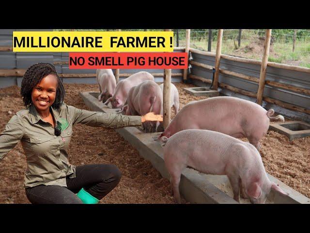 How Many PIGS To START A Simple Pig Farm Business! | 2024 Farm Routine