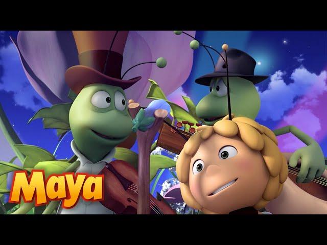 LOS AMIGOS BICHOS MÁS CURIOSOS DE MAYA 🪳 MEJORES CAPÍTULOS DE MAYA para niños en ESPAÑOL 