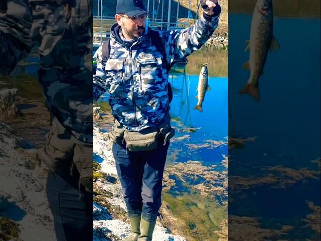 trout fishing varalicarenje pastrve #fishing #troutfishing #fishingvideo #ribolov #pastrmka #vobleri