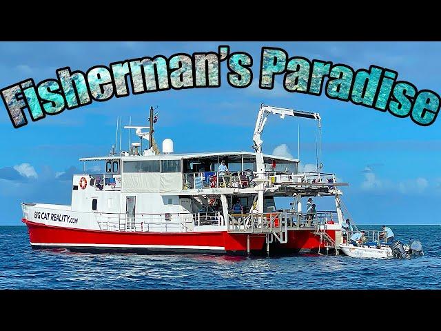 Fishing from a Liveaboard boat 400kms out to sea | Swains Reef