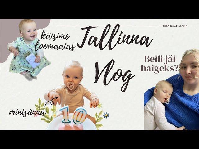 Tallinna VLOG | käisime loomaaias + uued prillid + Beili 10. minisünna + Beili jäi haigeks + HAUL