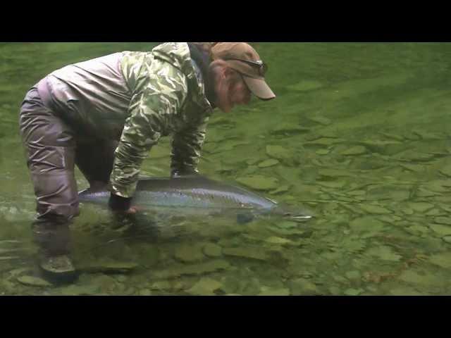 Gaspe Atlantic Salmon Fly fishing/Peche saumon Atlantique