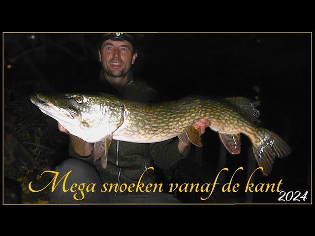 Vissen op MEGA SNOEK  vanaf de kant - Snoekvissen met kunstaas 2024 #85