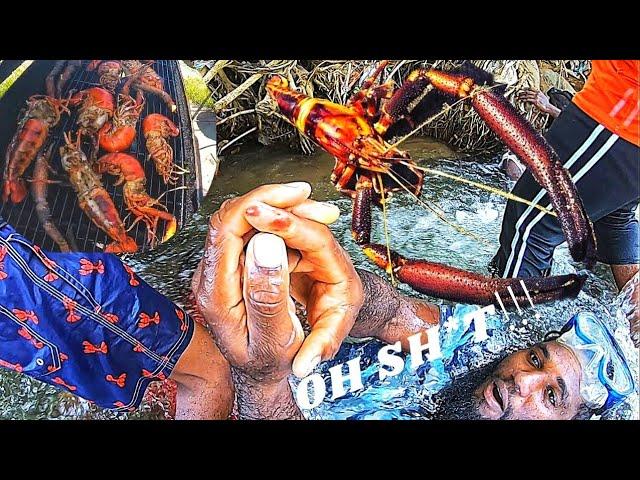 (GOT A BL00DY FINGER FROM HUGE RIVER LOBSTER) Catch Clean Cook @D_JOHNSON'S_BAR_AND_GRILL EP.37