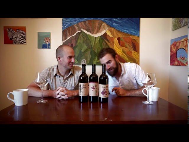 The Wine Brothers - Bobal from Utiel-Requena