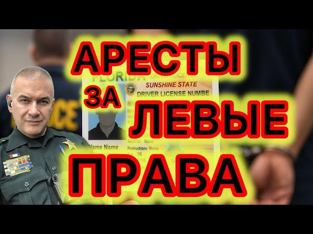 Начались массовые аресты за незаконные выдачу и получение водительских удостоверений.