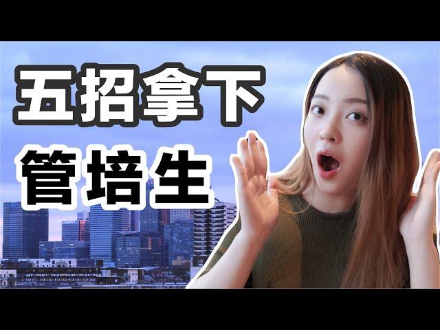 【春/秋招必看】海外求职一脸懵？关于国内/外管培生计划的详解（不看一定会后悔噢！）