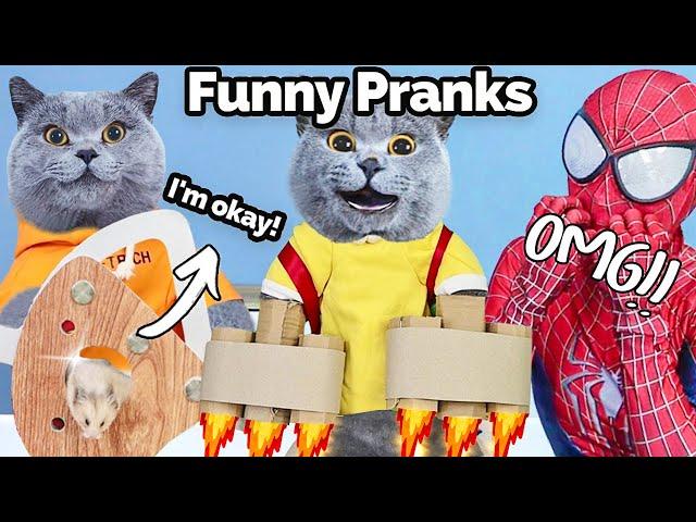 Celebrating One Year With A Wonderful Video Feast! | Oscar‘s Funny World |New Funny Cat Videos 2023