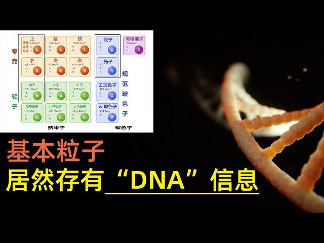 最新研究，确认物质的第五种状态“信息”，基本粒子并不基本？