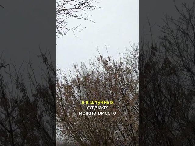 О судах 2 #журбаза #журба #база #инвестиции #бизнес #жизнь #жиза
