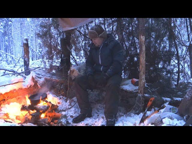 Bushcraft Winter Forest Wilderness Survival on Snowfall in 2022 - solo winter syberian camping