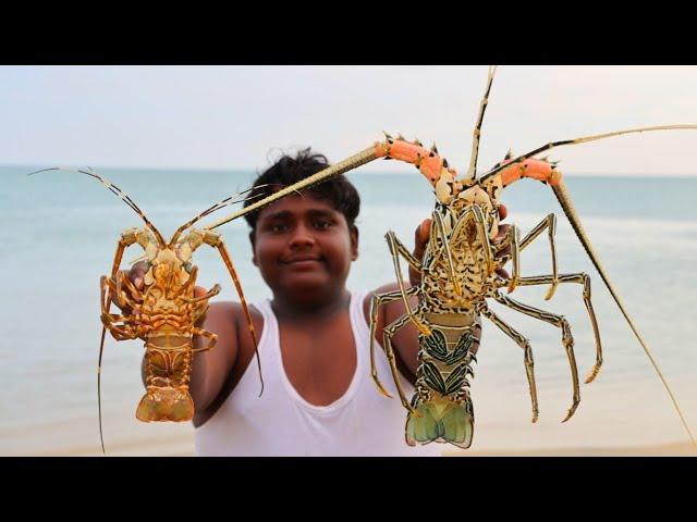 சிங்கி இறால் வேட்டை|King Lobster Hunting at Sea And Cooking|Village Hunting|Village FoodSafari Suppu