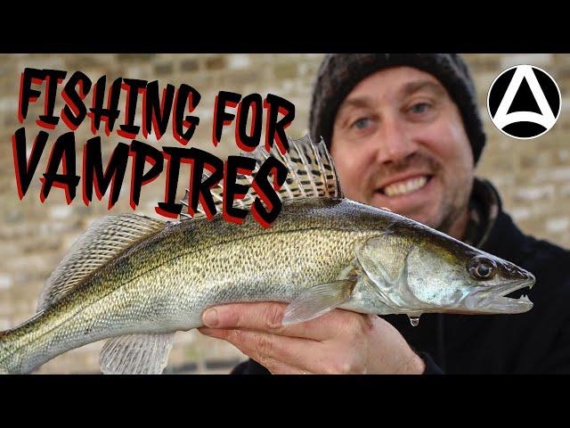 Episode 6. Fishing for Vampires