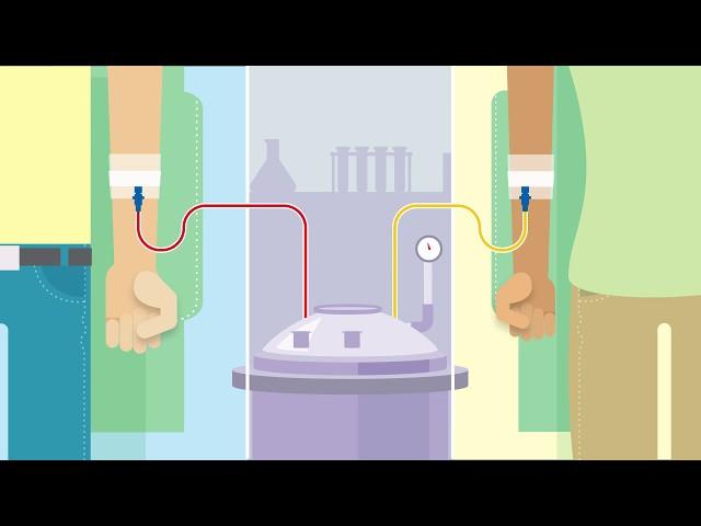 The Power of Plasma Donation Animation