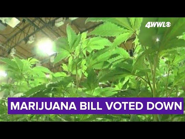 Bill to legalize marijuana in Louisiana dies in the House, author hopeful for next year