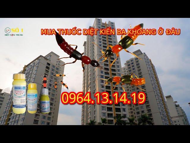MUA THUỐC DIỆT KIẾN BA KHOANG Ở ĐÂU ? | DIỆT MỐI TẬN GỐC