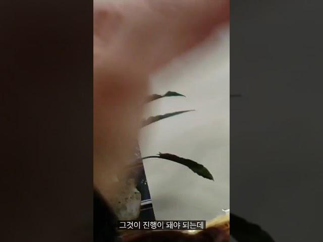 고현수 제정위원장님의  입장(자막있음)화면 최대크기로 보세여