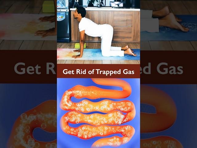 Yoga for Gastric and Acidity #yoga #gastric #acidity #guthealth #gasrelief